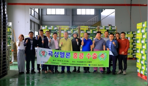 곡성멜론 이미지