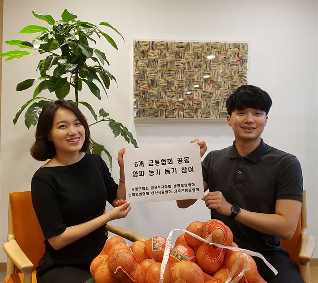 양파 이미지