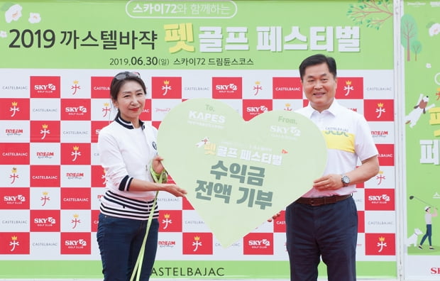 스카이 이미지