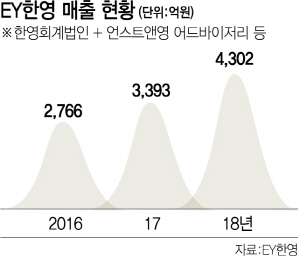 언스트앤영어드바이저리 이미지