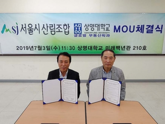 조합 부동산 컨설팅 이미지