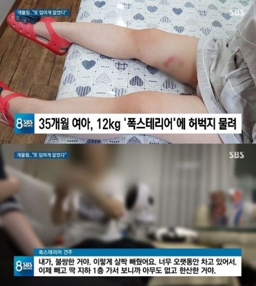 문테리어 이미지