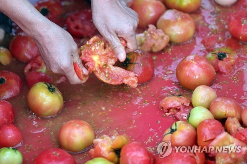 무지개영농조합법인 이미지