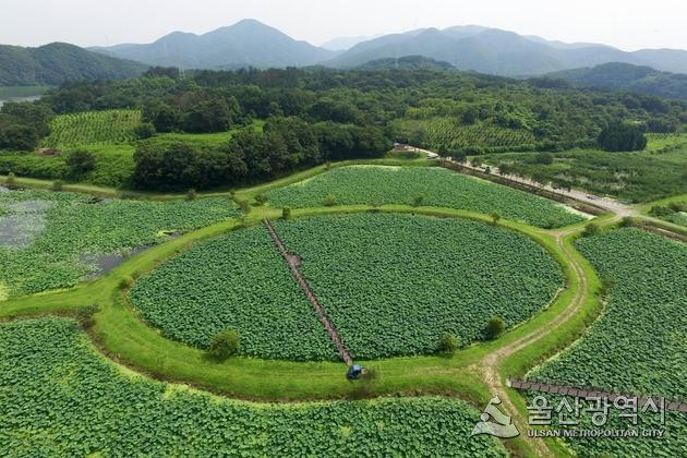 수림환경(주) 이미지