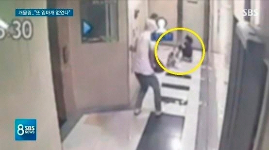 해종컴퍼니 이미지