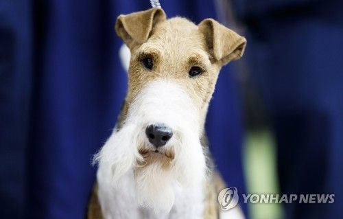 문테리어 이미지
