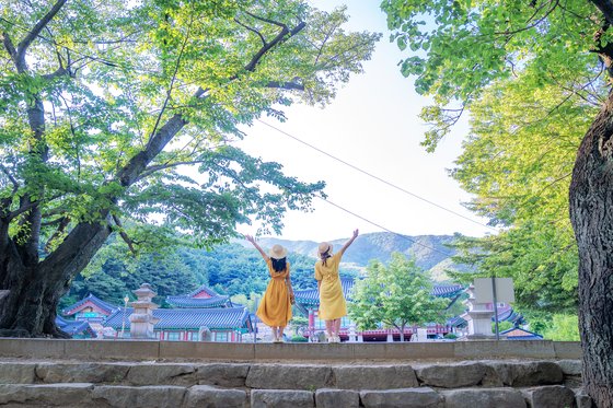 키 큰 나무가 많아 그늘로 걷기 좋은 부인사. [사진 한국관광공사]