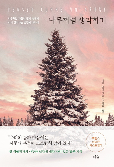 나무처럼 이미지