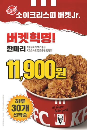 소이주니어 이미지
