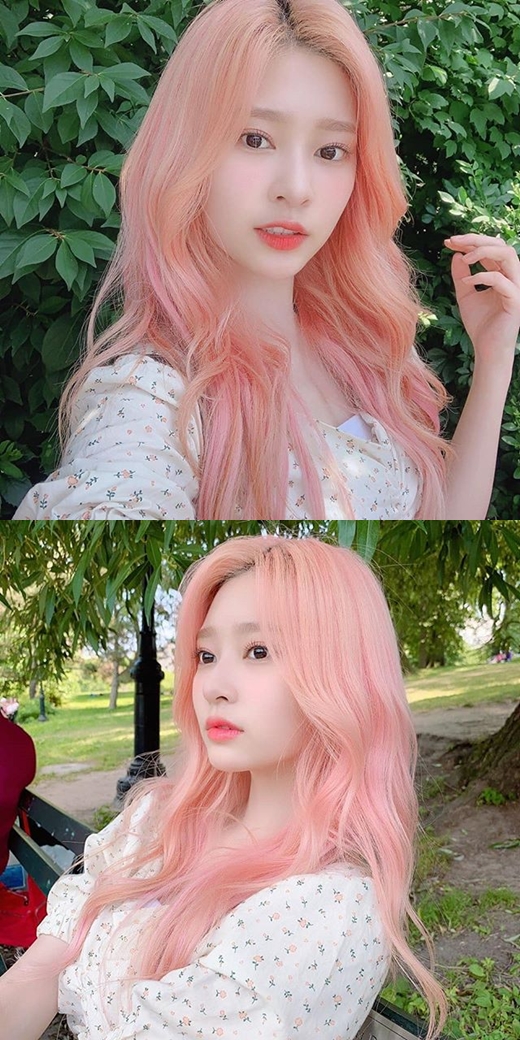 Fairy Beautiful looks.. Izone Kim Min-Ju, pink hair color is also perfect for digestion <p>Kim Min-Ju on the 11th afternoon Izone official Instagram pictures on several sheets of this year.</p><p>The revealed picture, Kim Democratic Camera, posing in front of it. Pink hair color for Kim Min-Ju Doll, such as flower Beautiful looks for the area. Especially Kim Min-very pure yet lovely atmosphere and got into it.</p><p>Meanwhile Kim Min-Ju belong to Izone recently KCON2019 NY attended.</p>