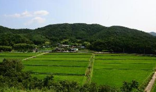 연꽃마을한우 이미지