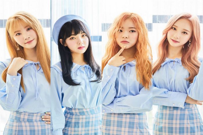 지해 이미지