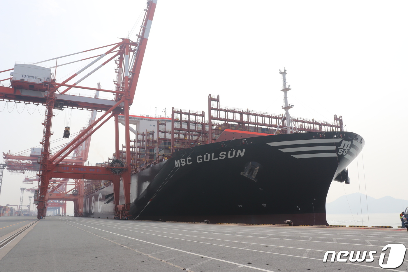 광양항에 들어온 세계 최대 컨테이너선박