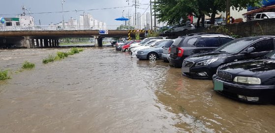 대동천 이미지