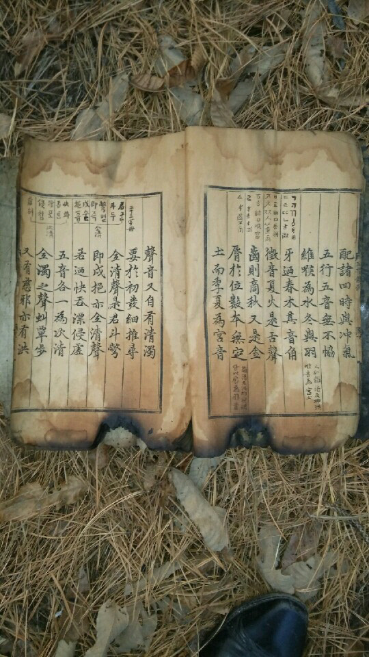 뾰족한수 이미지