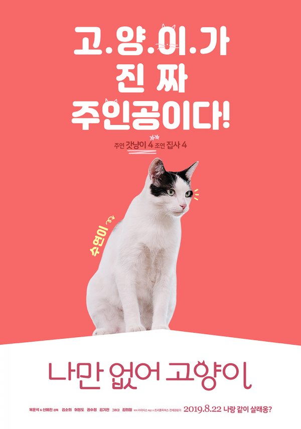 나만없어고양이 이미지