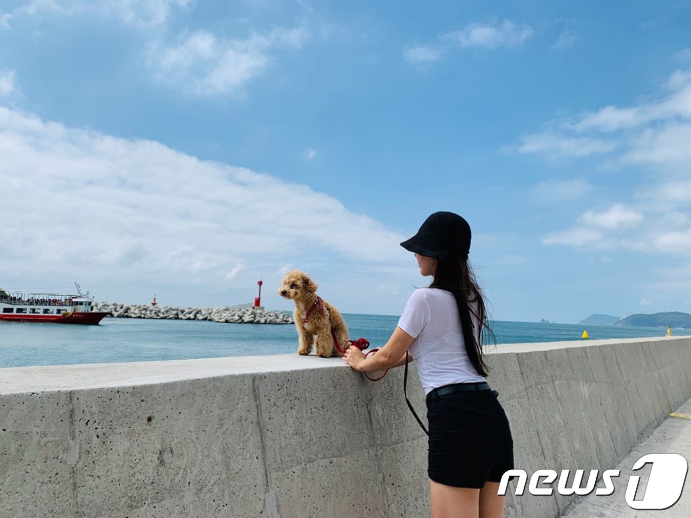 펫츠고트래블 이미지