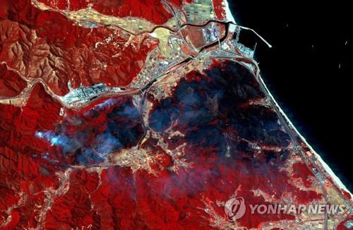 벌채지역 이미지