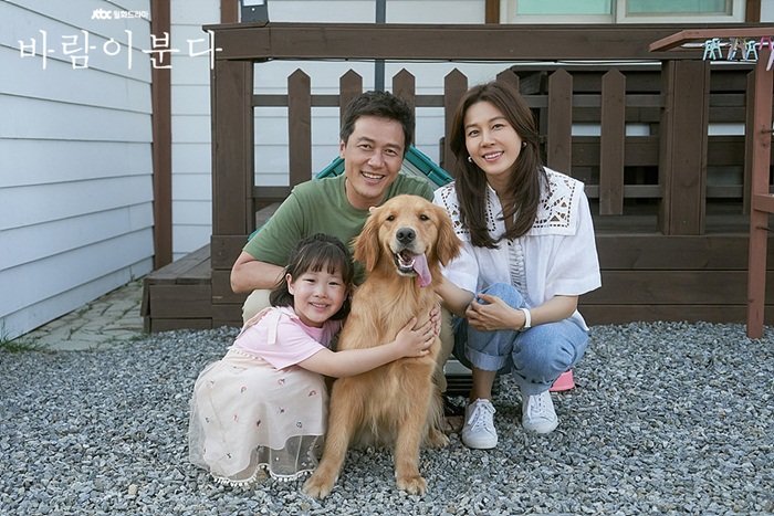 바람이분다 이미지