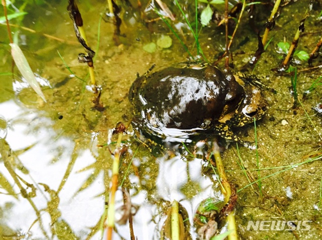한반도ECO 이미지