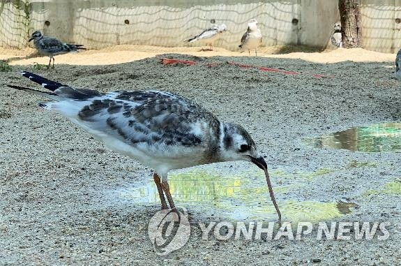 국립생태원 멸종위기종복원센터 이미지