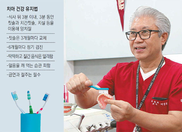 16일 강동경희대치과병원 치아리모델링센터장 이성복 교수가 치아 모형을 들고 올바른 칫솔질을 알려주고 있다. 강동경희대병원 제공