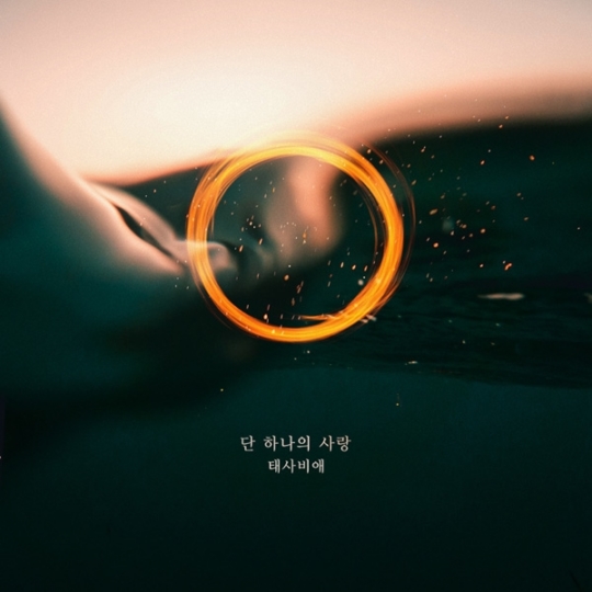 지고지순 이미지