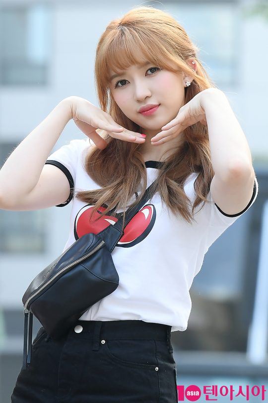 로하 이미지