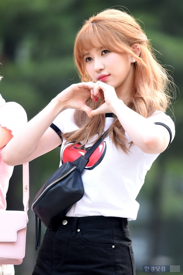 로하 이미지