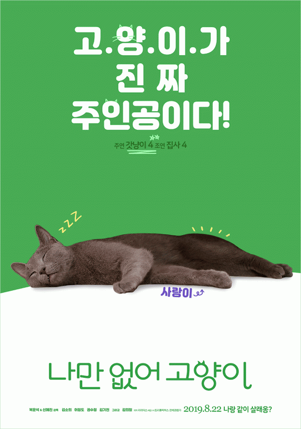 나만없어고양이 이미지