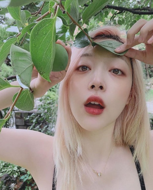 Singer and actor Sulli has released a swimsuit photo.Sulli posted photos on her 21st day with her instagram, including Why are you wearing a swimsuit, I wake up!, I want a green plum, Not, I buy a small pool, and I feel good.In the open photo, Sulli is wearing a dot patterned swimsuit and boasts a lovely atmosphere.Especially, his strange and charming pose and fresh beauty stand out.The netizens who saw this showed various reactions such as It is a real Goddess, Sulli is really pretty, and the big hit Sulli is the best.Meanwhile, Sulli is currently appearing on JTBC2 entertainment program The Night of the Devil.