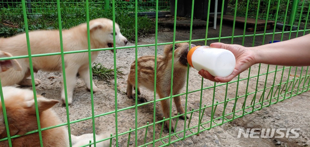 여항산가든 이미지