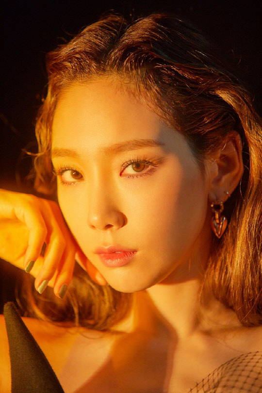 태연컴퍼니 이미지