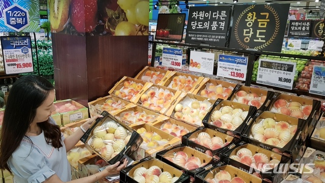 과일일등 이미지