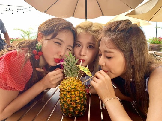 파인애플그룹 이미지
