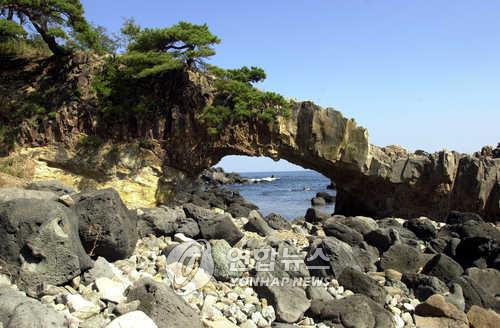 (주)무지개관광 이미지