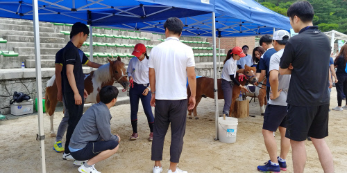 스포츠산업연구소 이미지