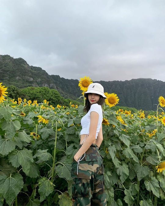 Girl group BLACKPINK Lisa boasted of her sodu beauty.BLACKPINK Lisa posted three photos on SNS on July 25th in the sunflower flower garden.In the photo, Lisa poses among sunflower flowers, taller than her own, with clear abs revealed in crop tops and Lisas face smaller than sunflower flowers drawing attention.Fans who responded to this showed a hot reaction such as you are my sunshine, sunflower, moon and everything my babygirl, MY BEAUTIFUL SUNFLOWER and As beautiful as the sunflower.Meanwhile, BLACKPINK, which Lisa belongs to, has recently completed 32 performances in 23 cities in Asia, North America, Europe and Oceania.The Tokyo Dome will be held in December, the Osaka Kyocera Dome in January next year, and the four dome tours in Japan in the Fukuoka Yahoo Oak Dome in February.Jung Yu-jin