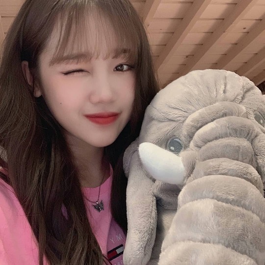 Girl group Weki Meki Choi Yoo-jung showed off her doll beauty.Choi Yoo-jung told SNS on July 25th, Kiling Hey What are you doing today? What are you eating? Eat people who have not eaten? Eat! Puwoo ~ # Weki Meki # Yujeong # low Metchu # low-mechu # low-end stew #WekiMeki #ChoiYoujung #ChoiYo-jung #Y I posted four photos with the article oojung # Yujeong.In the photo, Yoo Jung is showing her charm with a wink with an elephant doll. The beauty of Choi Yoo-jungs doll on the red lips like a punctuation meets with charm and gives a lovely feeling.The fans who encountered this admired the beauty of Choi Yoo-jung, such as Oh really pretty and real great honor.Meanwhile, Choi Yoo-jung said he lost 9kg in a month by appearing on SBS food material center - caterpillar restaurant broadcast on May 10th.Jung Yu-jin