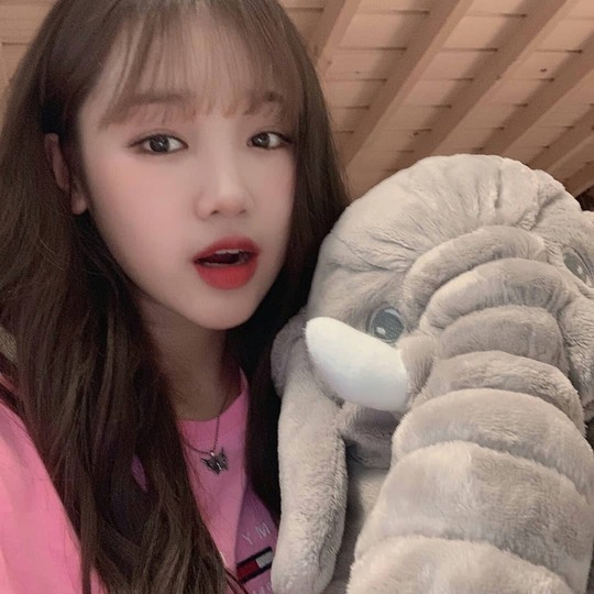 Girl group Weki Meki Choi Yoo-jung showed off her doll beauty.Choi Yoo-jung told SNS on July 25th, Kiling Hey What are you doing today? What are you eating? Eat people who have not eaten? Eat! Puwoo ~ # Weki Meki # Yujeong # low Metchu # low-mechu # low-end stew #WekiMeki #ChoiYoujung #ChoiYo-jung #Y I posted four photos with the article oojung # Yujeong.In the photo, Yoo Jung is showing her charm with a wink with an elephant doll. The beauty of Choi Yoo-jungs doll on the red lips like a punctuation meets with charm and gives a lovely feeling.The fans who encountered this admired the beauty of Choi Yoo-jung, such as Oh really pretty and real great honor.Meanwhile, Choi Yoo-jung said he lost 9kg in a month by appearing on SBS food material center - caterpillar restaurant broadcast on May 10th.Jung Yu-jin