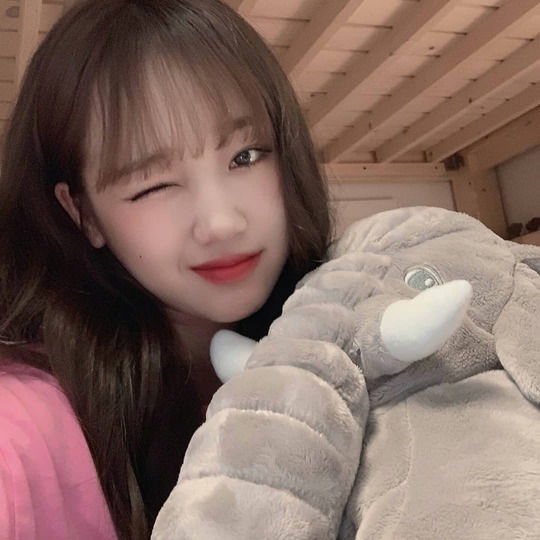 Girl group Weki Meki Choi Yoo-jung showed off her doll beauty.Choi Yoo-jung told SNS on July 25th, Kiling Hey What are you doing today? What are you eating? Eat people who have not eaten? Eat! Puwoo ~ # Weki Meki # Yujeong # low Metchu # low-mechu # low-end stew #WekiMeki #ChoiYoujung #ChoiYo-jung #Y I posted four photos with the article oojung # Yujeong.In the photo, Yoo Jung is showing her charm with a wink with an elephant doll. The beauty of Choi Yoo-jungs doll on the red lips like a punctuation meets with charm and gives a lovely feeling.The fans who encountered this admired the beauty of Choi Yoo-jung, such as Oh really pretty and real great honor.Meanwhile, Choi Yoo-jung said he lost 9kg in a month by appearing on SBS food material center - caterpillar restaurant broadcast on May 10th.Jung Yu-jin