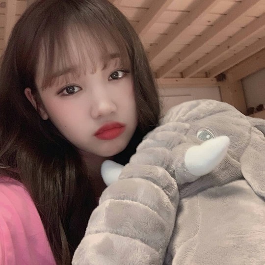 Girl group Weki Meki Choi Yoo-jung showed off her doll beauty.Choi Yoo-jung told SNS on July 25th, Kiling Hey What are you doing today? What are you eating? Eat people who have not eaten? Eat! Puwoo ~ # Weki Meki # Yujeong # low Metchu # low-mechu # low-end stew #WekiMeki #ChoiYoujung #ChoiYo-jung #Y I posted four photos with the article oojung # Yujeong.In the photo, Yoo Jung is showing her charm with a wink with an elephant doll. The beauty of Choi Yoo-jungs doll on the red lips like a punctuation meets with charm and gives a lovely feeling.The fans who encountered this admired the beauty of Choi Yoo-jung, such as Oh really pretty and real great honor.Meanwhile, Choi Yoo-jung said he lost 9kg in a month by appearing on SBS food material center - caterpillar restaurant broadcast on May 10th.Jung Yu-jin