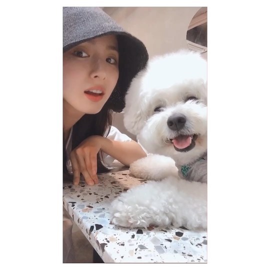 Actor Shin Se-kyung has revealed his relaxed daily life with his dog.Shin Se-kyung posted the video on his Instagram account on July 25.In the video, Shin Se-kyung smiles at the camera with his dog, and the cheerful atmosphere of Shin Se-kyung and his dog catches his eye.Shin Se-kyungs innocent beauty also attracts attention.The fans who responded to the video responded such as It is so beautiful, Both are like dolls and It is really cute.delay stock