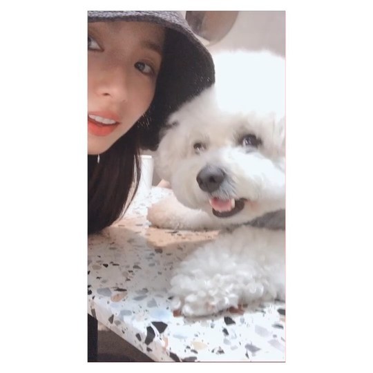 Actor Shin Se-kyung has revealed his relaxed daily life with his dog.Shin Se-kyung posted the video on his Instagram account on July 25.In the video, Shin Se-kyung smiles at the camera with his dog, and the cheerful atmosphere of Shin Se-kyung and his dog catches his eye.Shin Se-kyungs innocent beauty also attracts attention.The fans who responded to the video responded such as It is so beautiful, Both are like dolls and It is really cute.delay stock