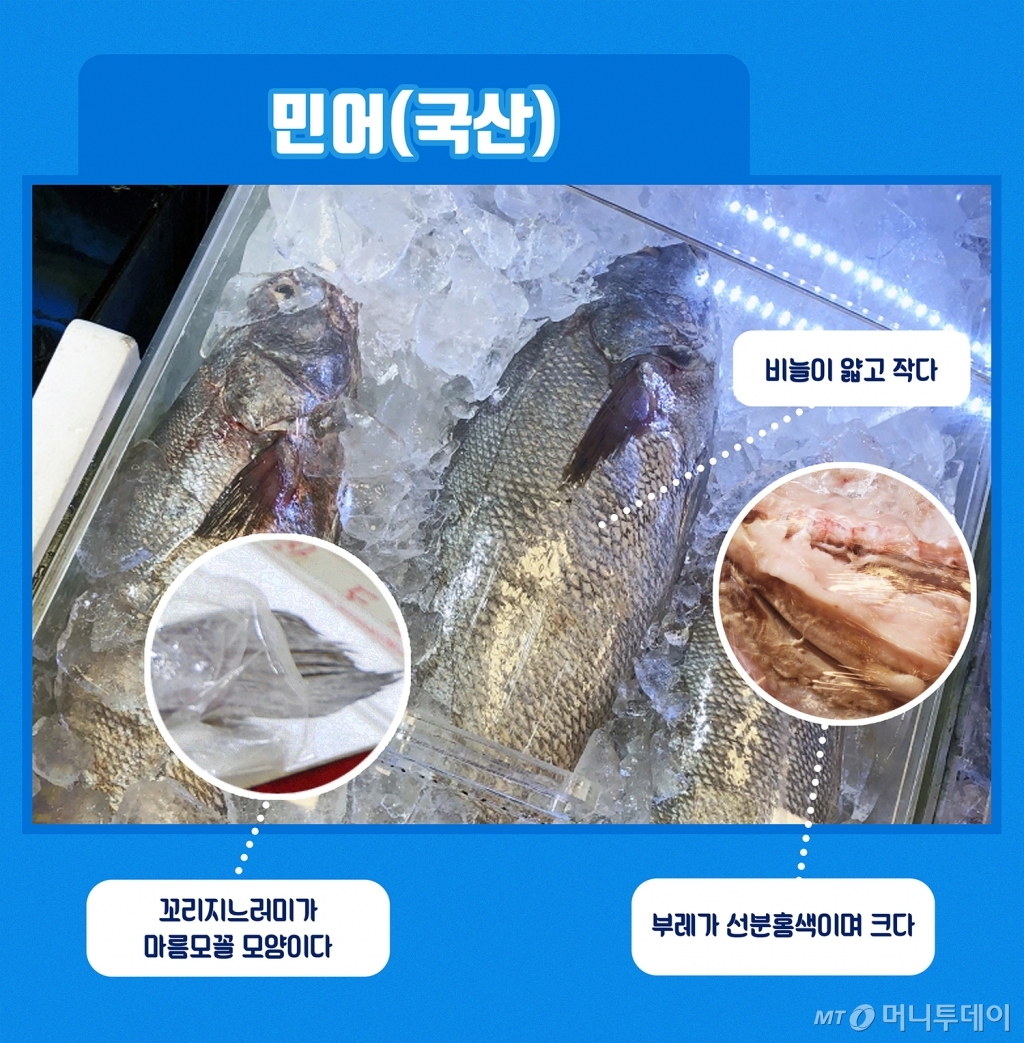 민어나라 이미지
