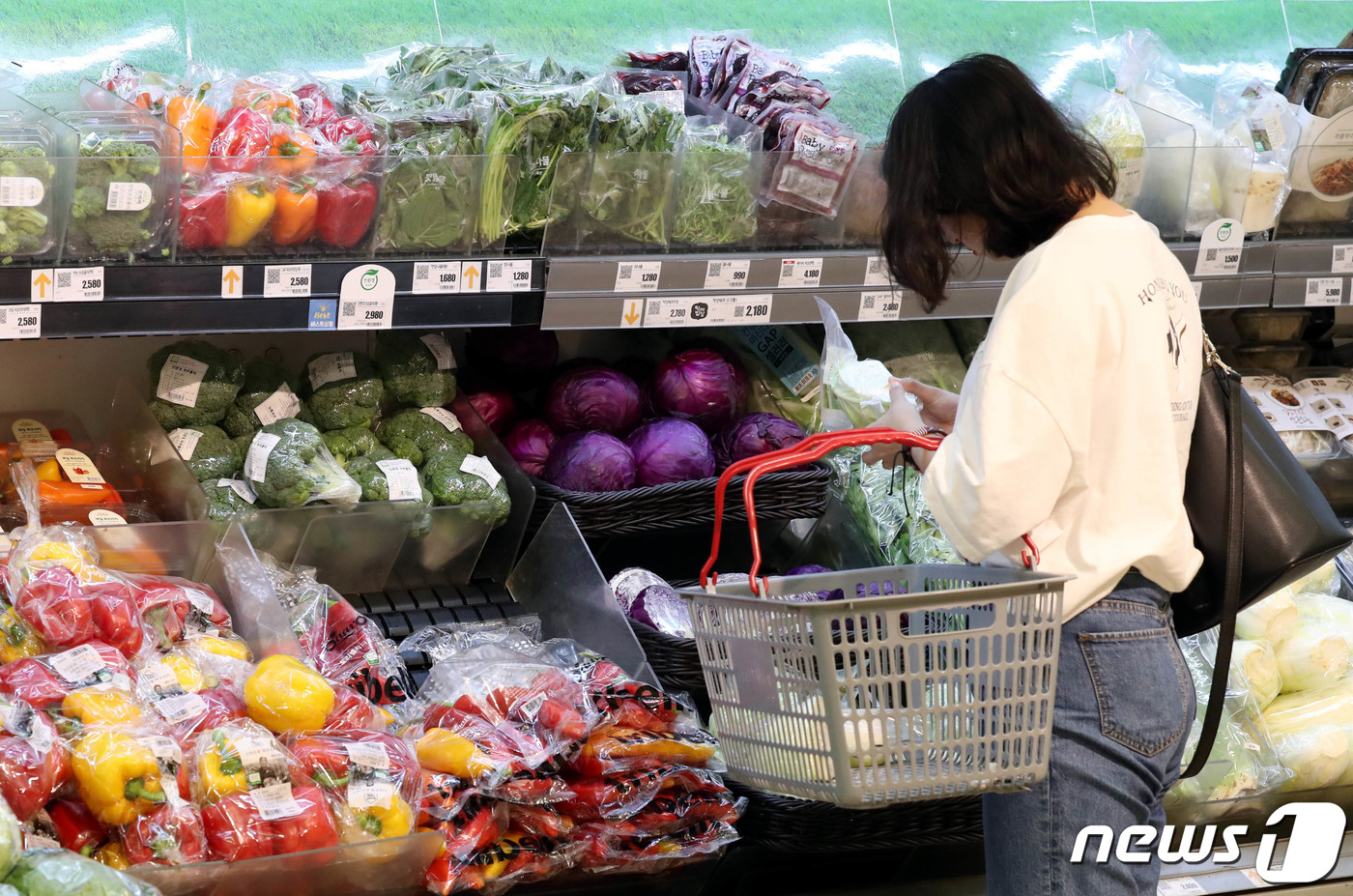 한국채소소믈리에협회 이미지