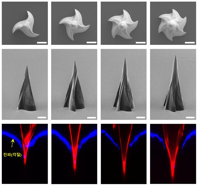 반도체 공정으로 제작된 다양한 모양의 독사어금니 모사 구조체를 확대했다(위). 위에서 봤을 때 나선형으로 회오리치는 홈이 보인다. 사진제공 한국연구재단