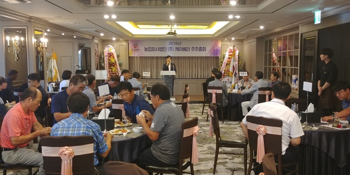 베리국 이미지