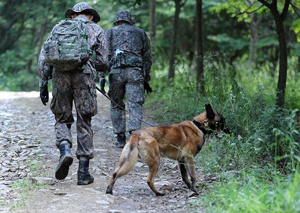 지난달 29일 오후 청주시 상당구 가덕면 무심천 발원지 일대에서 육군 장병이 군견을 이끌고 실종된 조은누리양을 찾고 있다. /연합뉴스