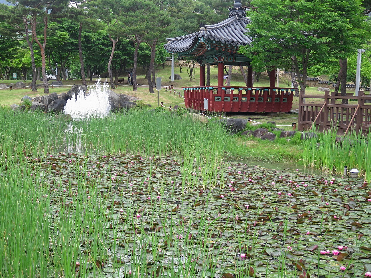 호연재 이미지